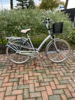 Batavus mambo, Ophalen, 53 tot 56 cm, Versnellingen, Batavus