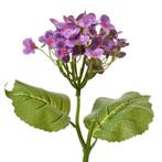 HORTENSIA KUNST TAK - CLAYRE & EEF, Ophalen of Verzenden, Nieuw