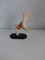 Anatomisch model, Ophalen of Verzenden