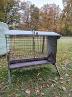 Hooiruif, Dieren en Toebehoren, Meerdere dieren, Schaap