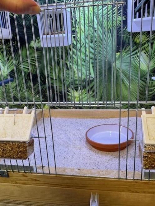Mooie grote Vogelkooi/broedkooi kompleet met verlichting, Dieren en Toebehoren, Vogels | Hokken en Kooien, Zo goed als nieuw, Broedkooi of Kweekkooi