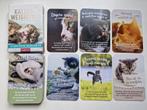 Orakel kaarten met Katten wijsheden in het Duits, Ophalen of Verzenden, Zo goed als nieuw, Speelkaart(en)