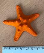 Zeester 1, Verzamelen, Mineralen en Fossielen, Ophalen of Verzenden