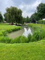 Dieren weide opvang, pluimvee, knaagdieren, Meerdere dieren, Eend
