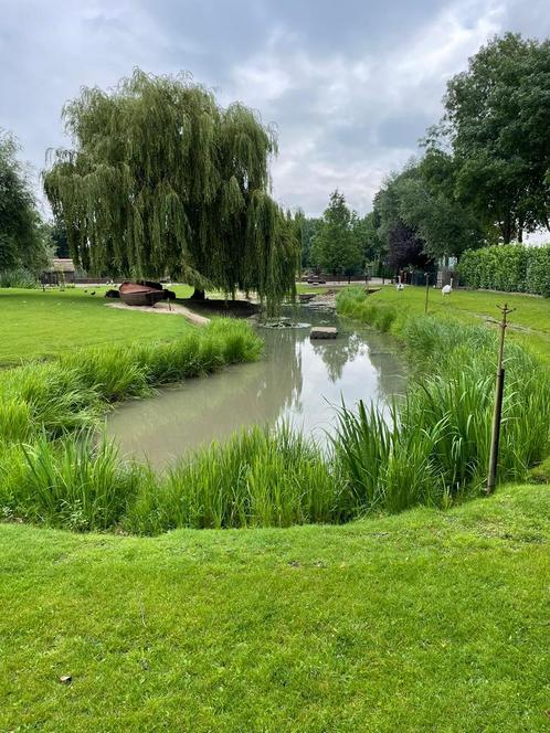 Dieren weide opvang, pluimvee, knaagdieren, Dieren en Toebehoren, Pluimvee, Eend, Meerdere dieren