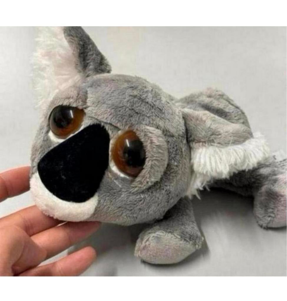 Russ Li'L Peepers Koala-beer 25cm Misha koalabeer knuffel, Overige typen, Nieuw, Ophalen of Verzenden, H