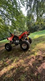 Bashan 300cc quad op auto kenteken