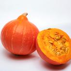Uit de biologische moestuin: Hokkaido, pompoenplanten,zaden, Tuin en Terras, Planten | Tuinplanten, Volle zon, Groenteplanten