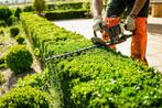Hovenier gezocht – afwisselend buitenwerk, Tuinonderhoud of Snoeiwerk