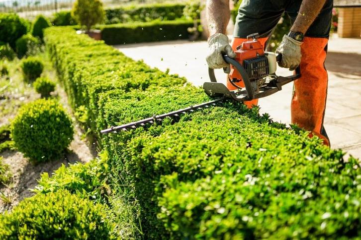 Hovenier gezocht – afwisselend buitenwerk, Diensten en Vakmensen, Tuinmannen en Stratenmakers, Tuinonderhoud of Snoeiwerk