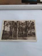 ERMELO. RUSTOORD BOSCH  1937, Verzamelen, Ophalen of Verzenden, 1920 tot 1940, Gelderland