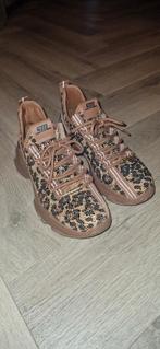 Leuke Sneakers met Tas - Set! Steve madden, Kleding | Dames, Schoenen, Bruin, Steve Madden, Ophalen of Verzenden, Sneakers of Gympen