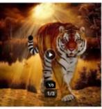 diamond painting full., Ophalen of Verzenden, Nieuw, Knutselwerk