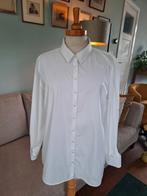 MC Gregor blousje maat 42, McGregor, Wit, Maat 42/44 (L), Ophalen of Verzenden