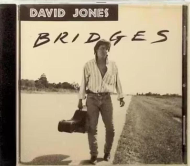 CD David Jones - Bridges , LRCD 1039/2, Cd's en Dvd's, Cd's | Rock, Gebruikt, Overige genres, Ophalen of Verzenden