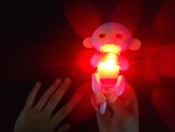 Lichtpaars Fingerling aapje met blauwe haartjes [B - 157] beschikbaar voor biedingen