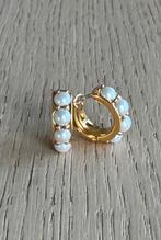 Ti Sento vergulde creolen met parels 7962YP, Nieuw, Ophalen of Verzenden, Met edelsteen, Knopjes of Stekers