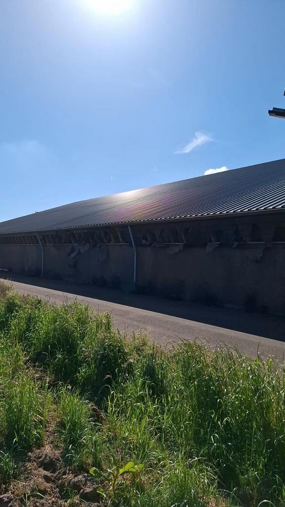 Gebruikte Sandwichpanelen, Doe-het-zelf en Verbouw, Platen en Panelen, Gebruikt, Overige materialen, Ophalen