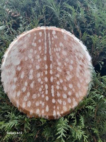 Mooie sjamanendrum van Damhert beschikbaar voor biedingen