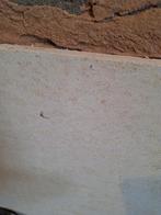 Promat Promafour brandwerende plaat 2,5m x 0,6m x 15mm, Doe-het-zelf en Verbouw, Ophalen of Verzenden, Gebruikt, Hout, Minder dan 20 mm