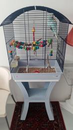 Hele mooie vogek met kooi, Dieren en Toebehoren, Ophalen of Verzenden, Zo goed als nieuw, Metaal, Vogelkooi