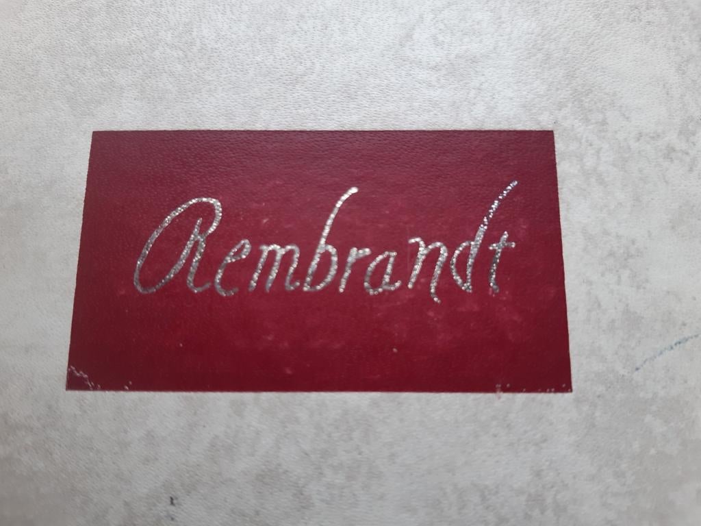 Leven tussen licht en donker - Rembrandt, Boeken, Ophalen of Verzenden, Gelezen, Gladys Schmitt, Kunst en Cultuur