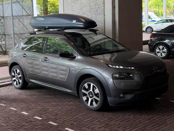Te koop: Probox dakkoffer 325 - wintersport optie beschikbaar voor biedingen