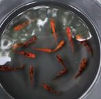 Medaka Red Tiger - Japanse Rijstvis eitjes te koop, Dieren en Toebehoren, Vissen | Aquariumvissen, Vis