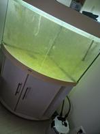 Tekoop aangeboden:3 Hoeks Aquarium 100 /130 cm+pomp, Dieren en Toebehoren, Vissen | Aquaria en Toebehoren, Ophalen, Leeg aquarium