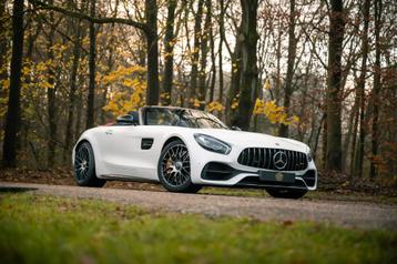 Mercedes-Benz AMG GT Roadster 50 Jahre Edition / 1/500