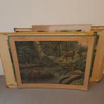 Wandplaten, Antiek en Kunst, Antiek | Schoolplaten, Ophalen, Aardrijkskunde