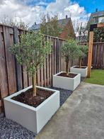 Stalen plantenbakken van Micto, Tuin en Terras, Vierkant, Nieuw, Ophalen of Verzenden, Metaal
