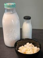 Melkefir / kefirkorrels, Diversen, Ophalen of Verzenden