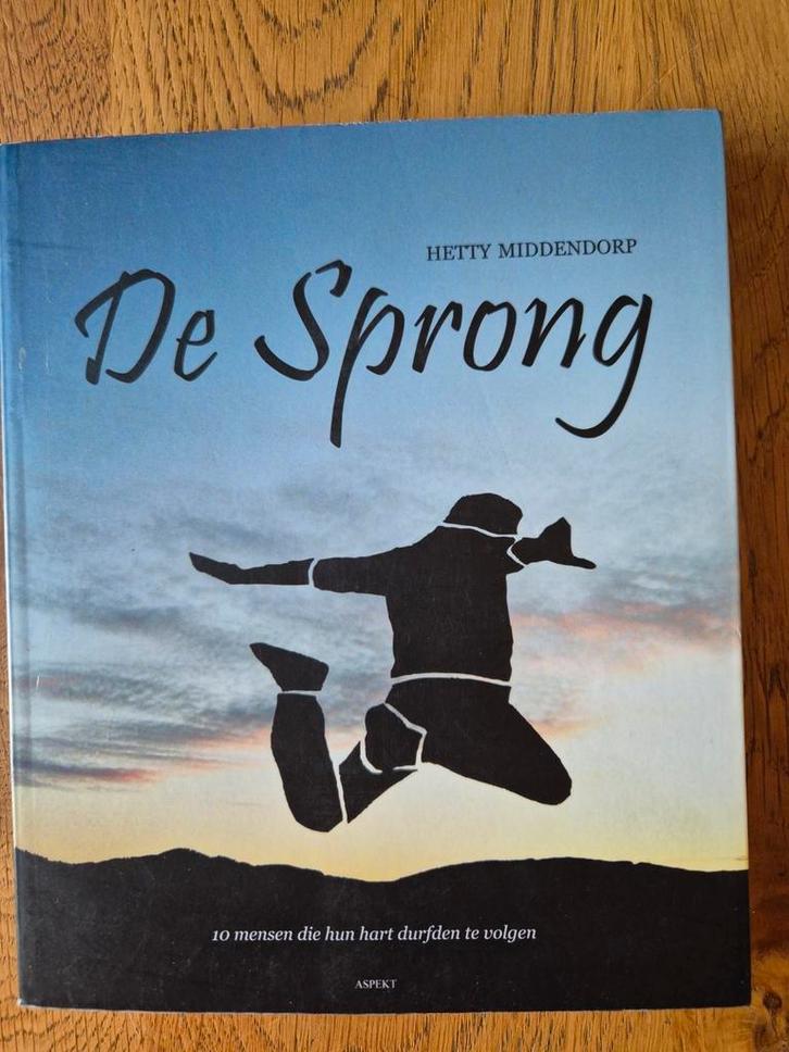 Hetty Middendorp - De Sprong, Boeken, Politiek en Maatschappij, Zo goed als nieuw, Maatschappij en Samenleving, Nederland, Ophalen of Verzenden