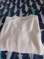 Heren trui maat s, Zara, Beige, Ophalen of Verzenden, Gedragen