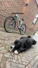 Te koop: Rockrider mountainbike – 29 inch Moet Weg!, Fietsen en Brommers, Fietsen | Mountainbikes en ATB, Ophalen, Gebruikt, Overige merken