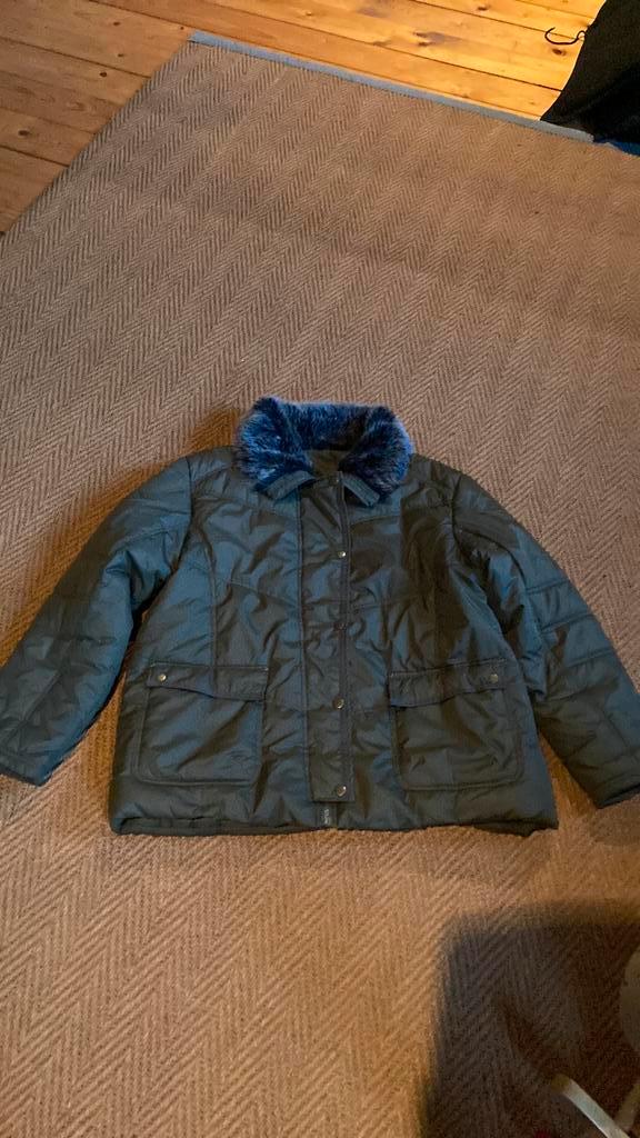 2 versch winter damesjassen maat xxl groen maat m blauw, Kleding | Dames, Jassen | Winter, Zo goed als nieuw, Maat 46/48 (XL) of groter