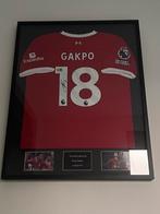 Gesigneerd shirt Cody gakpo in luxe lijst met coa, Ophalen, Zo goed als nieuw, Buitenlandse clubs, Shirt
