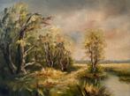 Olieverf schilderij, Ophalen, Minder dan 50 cm, Zo goed als nieuw, Schilderij