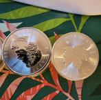 Zilveren Maple Leaf  2020, Ophalen, Zilver