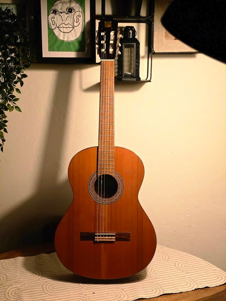 Alhambra 3C Klassieke Gitaar - Prachtige Klank!, Muziek en Instrumenten, Ophalen of Verzenden, Gebruikt, Klassieke of Spaanse gitaar