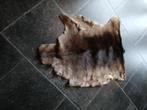 Dierenvel  damhert, Ophalen of Verzenden, Nieuw