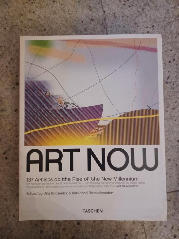 Art Now - Taschen - Zeer Goede Staat, Boeken, Informatica en Computer, Zo goed als nieuw, Overige onderwerpen, Ophalen of Verzenden