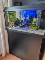 Jewel primo aquarium 110 inclusief inhoud., Dieren en Toebehoren, Ophalen of Verzenden, Zo goed als nieuw, Gevuld zoetwateraquarium