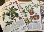 25+ illustraties van Janneke Brinkman, Ophalen of Verzenden, Zo goed als nieuw