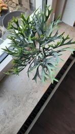 Hertshoorn steker, Ophalen, Zo goed als nieuw