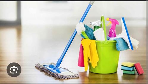 Huishoudelijkhulp aangeboden!!!!!, Vacatures, Vacatures | Schoonmaak en Facilitaire diensten, Overige vormen