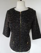 JASJE / TOP VAN BELLA RAGAZZA MAAT M, Kleding | Dames, Maat 38/40 (M), Overige kleuren, Bella Ragazza, Ophalen of Verzenden