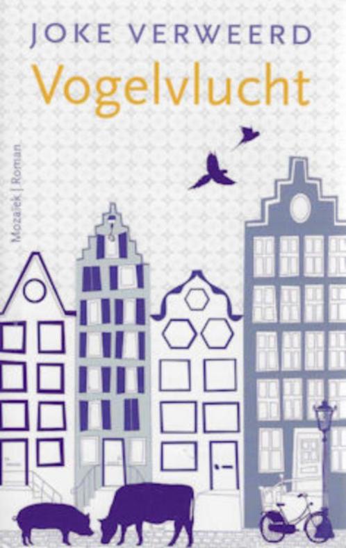 Joke Verweerd: Vogelvlucht, Boeken, Romans, Zo goed als nieuw, Ophalen of Verzenden