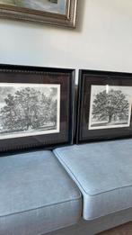 Pentekeningen J.G. Strutt, Ophalen